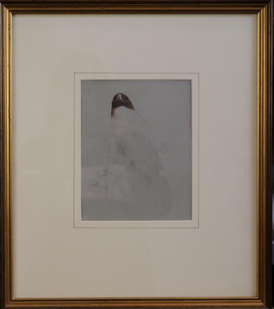 Archibald Thorburn (1860-1935) Sketch of perched eagle 7 x 5.5in.